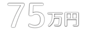 一日葬 75万円プラン 75万円(税抜価格：681,819円)